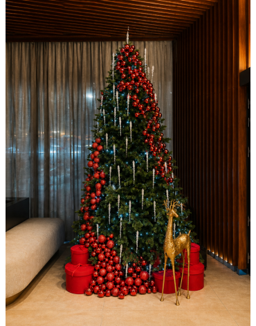 Le Express de Noël · Premium Plaza GTC